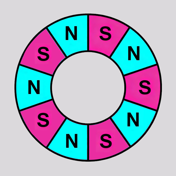 双平面10极充磁磁环
